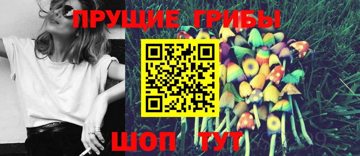 где найти   Вход с VPN  Павлово  Галлюциногенные грибы Cubensis 